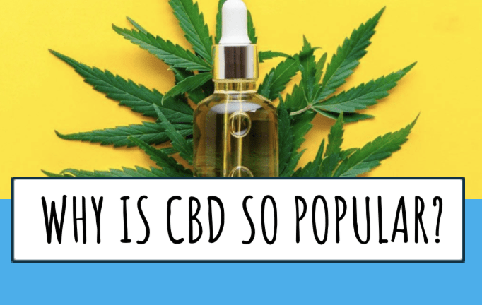 why is vaping cbd so popular? cbd diposable vape kits