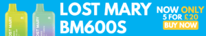 Lost Mary BM600s Disposable Vape Kit Review (1)