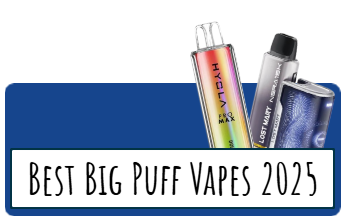 Best Big Puff Disposable Vapes 2025