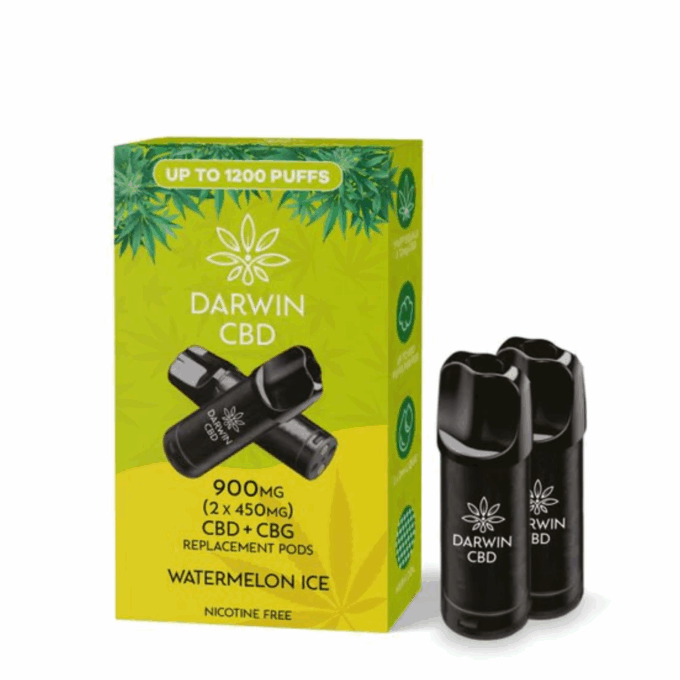 Darwin CBD Watermelon Ice